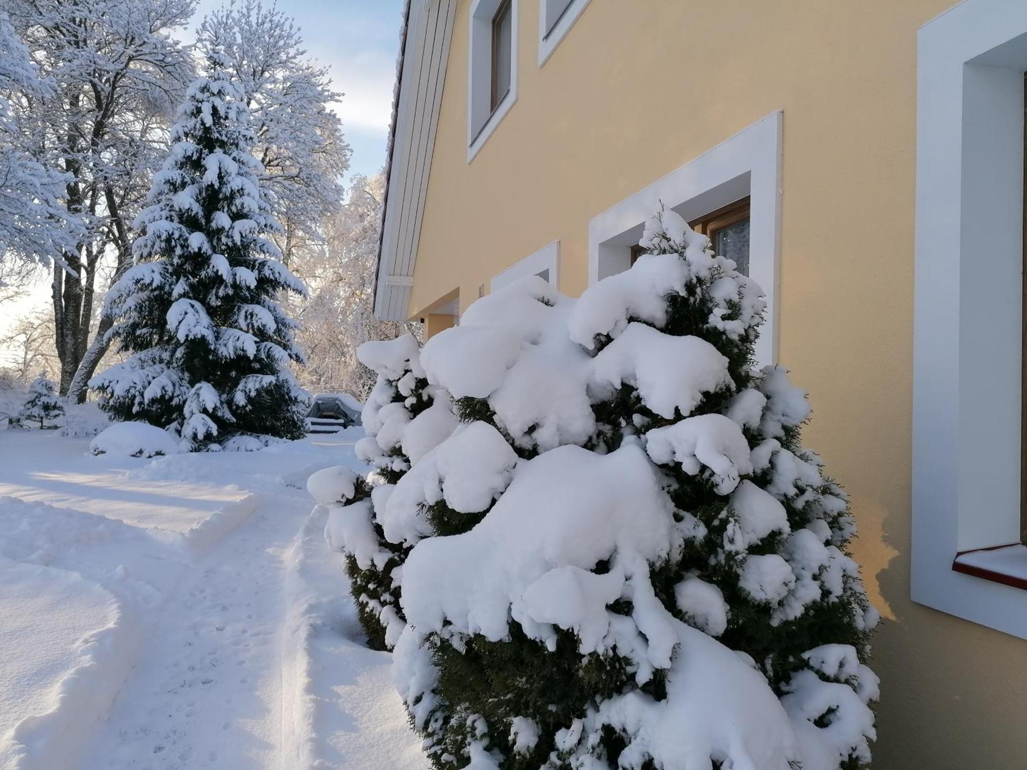 Villa River Rose Joesuu  Екстер'єр фото