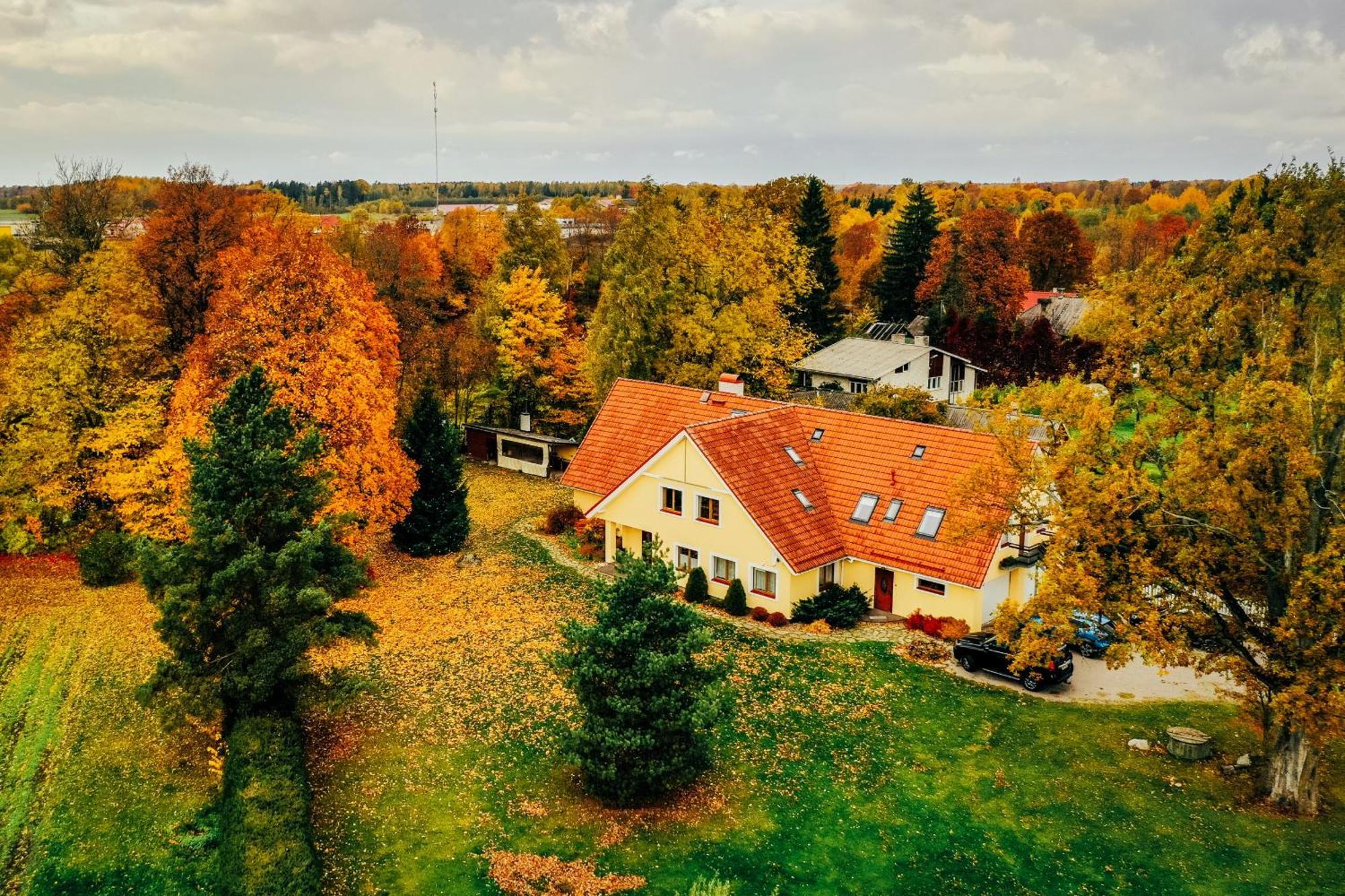 Villa River Rose Joesuu  Екстер'єр фото